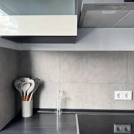 Stilvolles In Apartment Nuremberg
